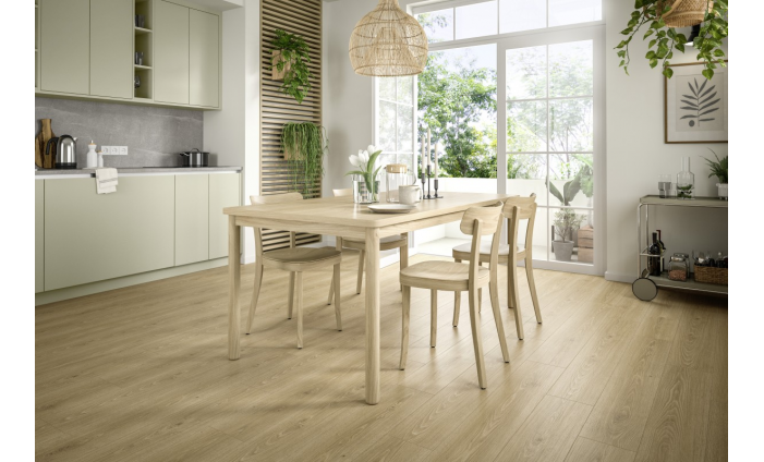 Dub Treviso prírodný