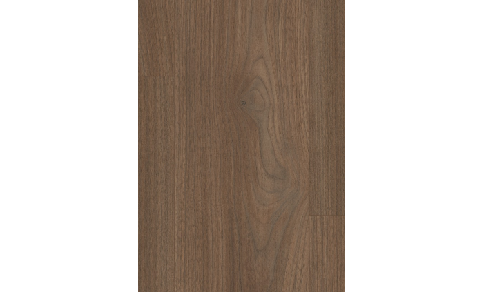 Orech Bedollo stredný