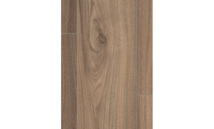 Orech Langley svetlý