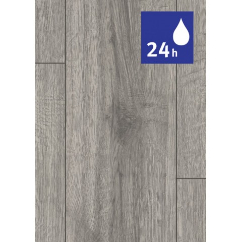 Dub Sherman svetlosivý